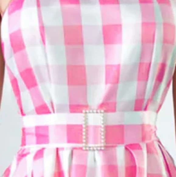 Pink & White Gingham Tie Shoulder Fit To Flare Dress + Costume Accessories (L) - Picture 13 of 16